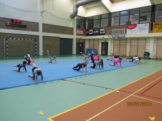 akrobat 11